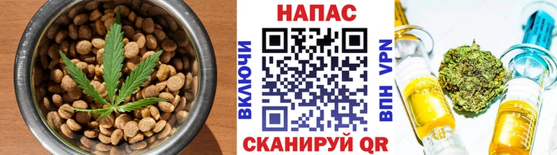 Cannafood конопля  Черняховск 
