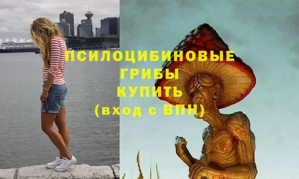 молекула духа Красноперекопск