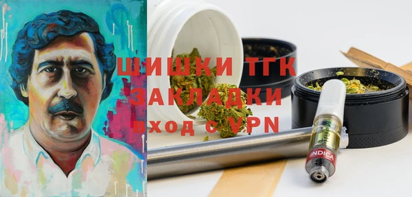 молекула духа Красноперекопск