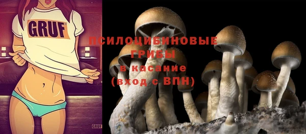 ПСИЛОЦИБИНОВЫЕ ГРИБЫ Костерёво